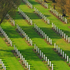 Villersbretonneux fleonardi1 300x300